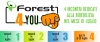 &quot;Forest 4 You&quot;, 4 eventi per costruire la tua Casa in Legno