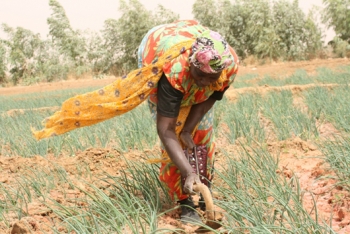 Il sole “irriga” le terre del Senegal con tecnologie made in Italy