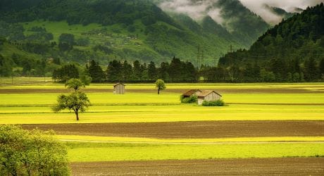 Autorizzazione paesaggistica