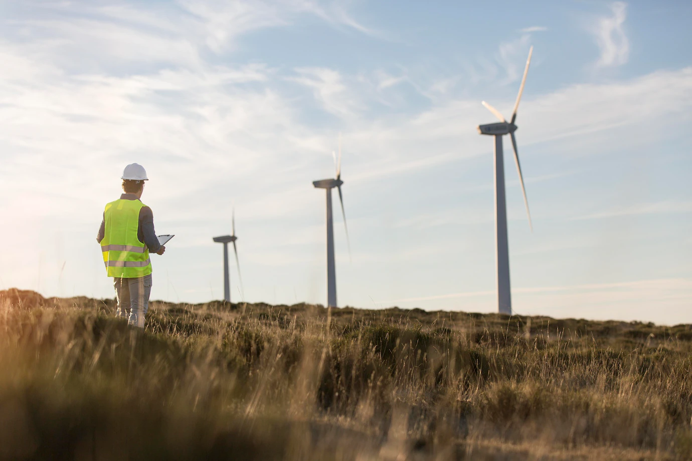 wind-farms-fields_23-214915441_20220718-114814_1.webp