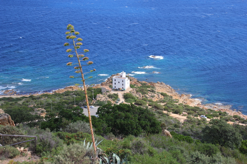 Siniscola_-_Faro_di_Capo_Comino_20230601-074246_1.jpg