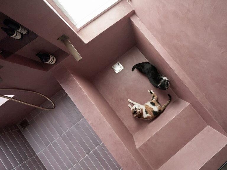 The-Meishan-Cat-Project_Pics_Courtesy-of-Shih-Shih-Interior-Design-_20230914-120346_1.jpg