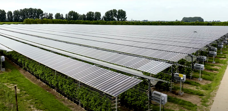 agrivoltaico.jpg