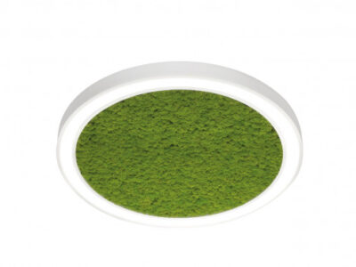 VECTOR ROUND – MOSS